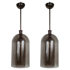 Pair of Large Smoke Two Layered Dome-Shaped Pendants