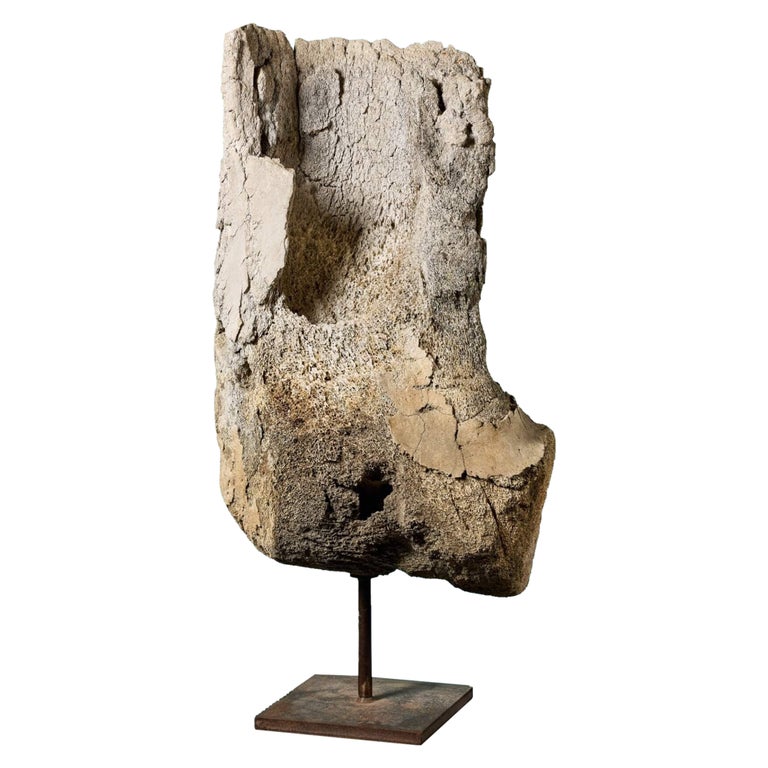 Huge Prehistoric Fossilised Whale Bone For Sale at 1stDibs