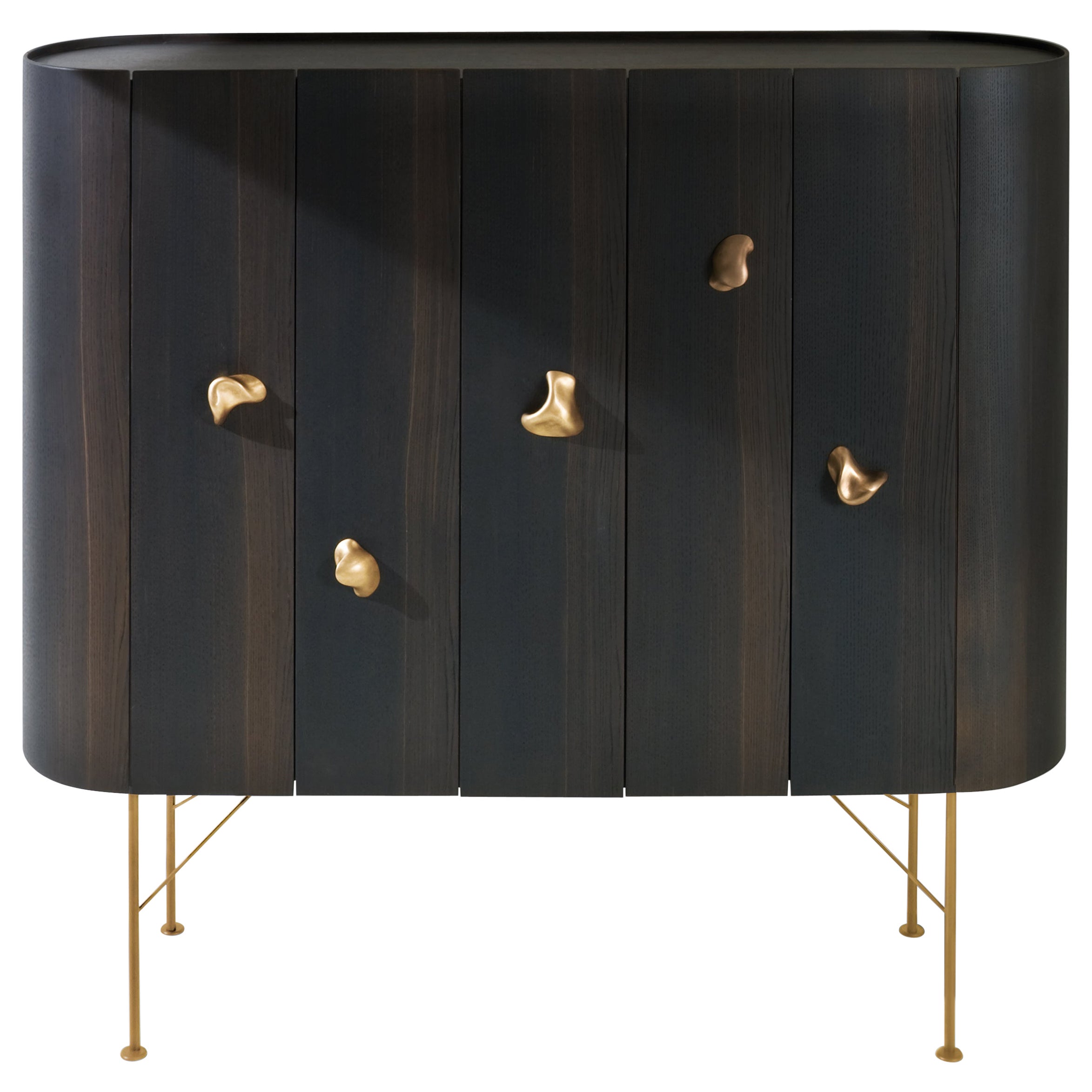 Laurameroni Modern Cabinet "Collectionist" with Sesel Brass Handles For Sale