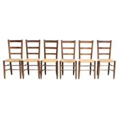 Ensemble de 6 chaises N.19 d'après Charlotte Perriand, en rotin de bois, mi-siècle moderne