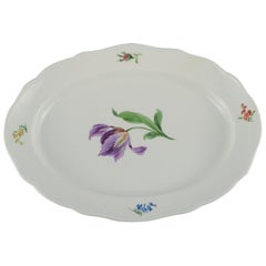 Meissen, Oval Serving Dish Hand Painted with Flowers, Late 19th Century