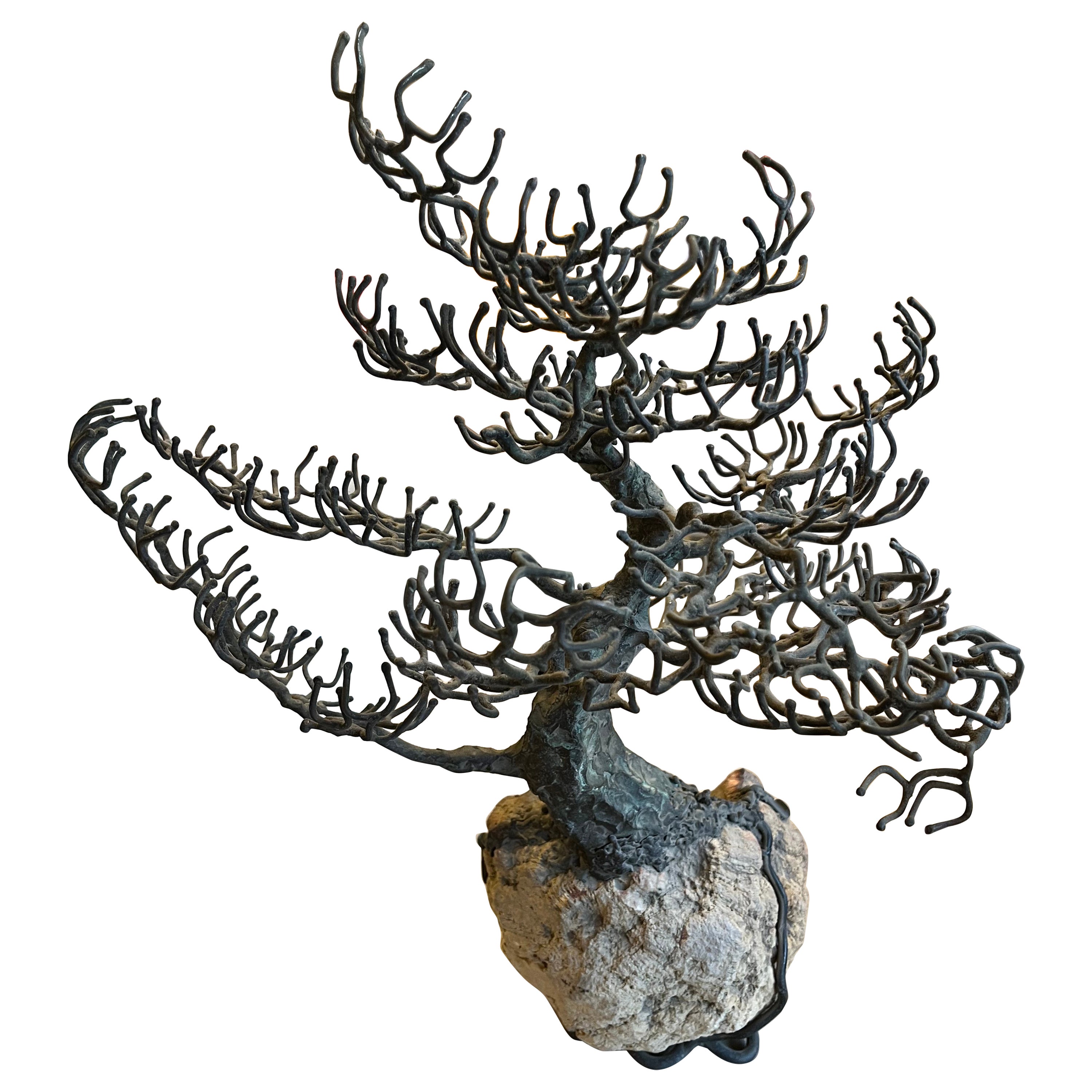 Brutalist Mid-20th Century Wire Tree Sculpture by Silva Bucci For Sale