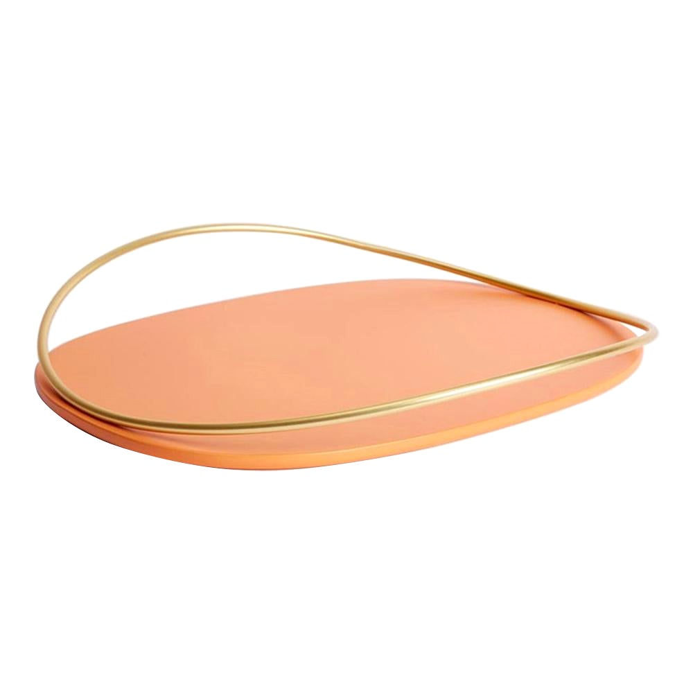 Cotto Touché D Tray by Mason Editions For Sale