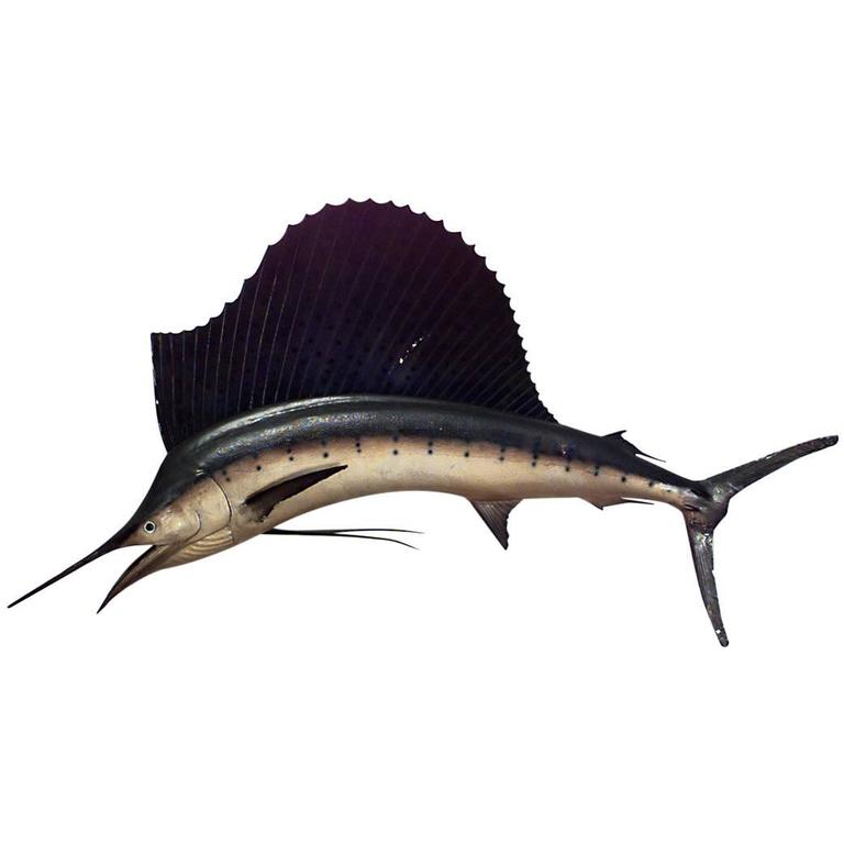 Large WallMounted Taxidermy Swordfish at 1stdibs