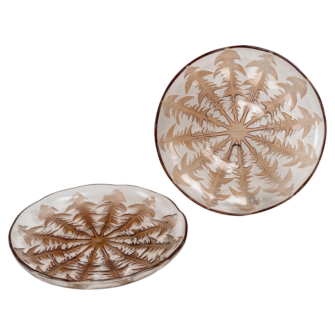 1921 René Lalique, Pair of Plates Dishes Pissenlit Glass with Sepia Patina