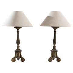 Antique 19th Century French Metal Table Lamps, a Pair