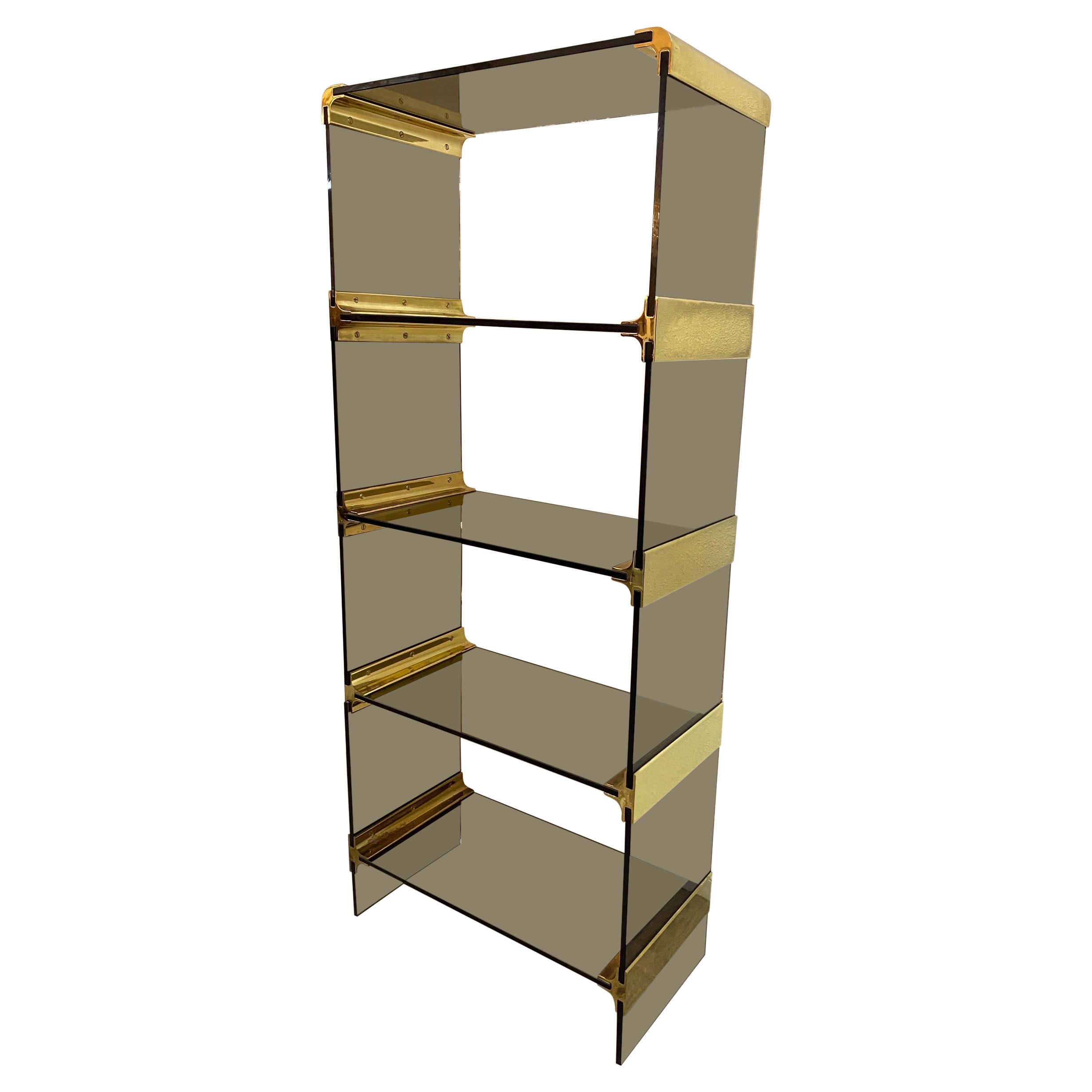 Pace Collection Smoke Glass and Brass Etagere For Sale