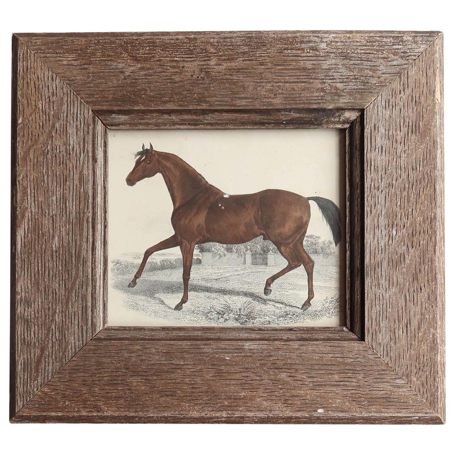 Original Antique Print of a Racehorse, 1847