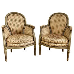 Pair of French Bergere Armchairs in Wood and Velvet Louis XVI Style, 19th