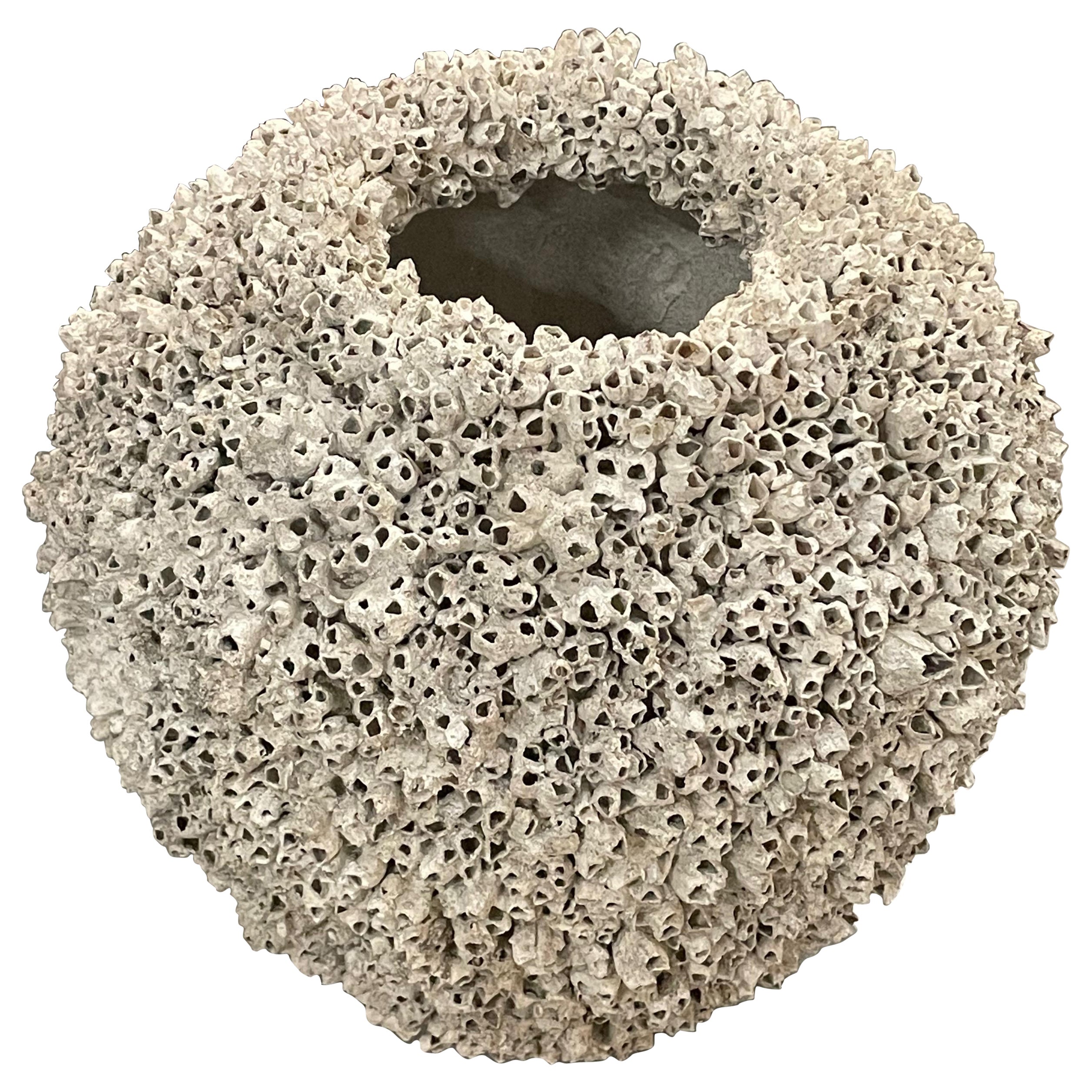 Snail Covered Wide Shape Composition Stone Pot, Italy, 1950s