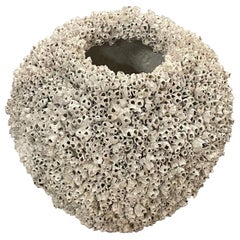 Snail Covered Wide Shape Composition Stone Pot, Italy, 1950s