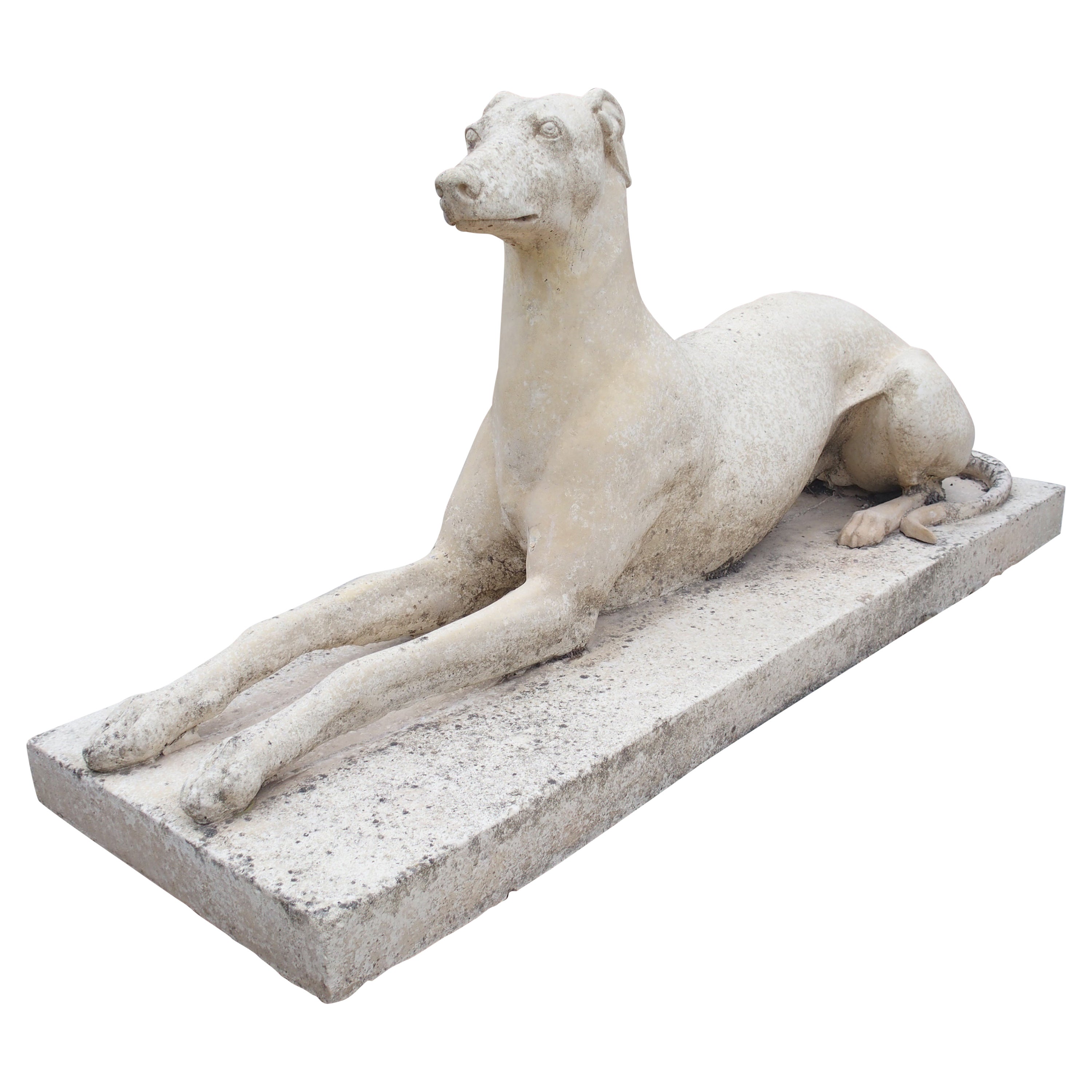 Life-Size Composite Stone Greyhound Statue from England