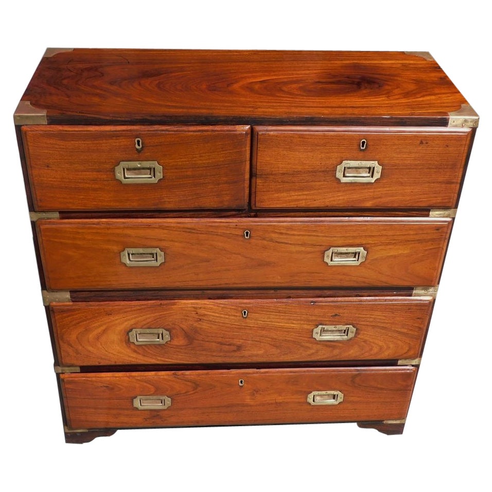 English Camphor Wood Military Campaign Chest with Recessed Brasses, C. 1820 For Sale