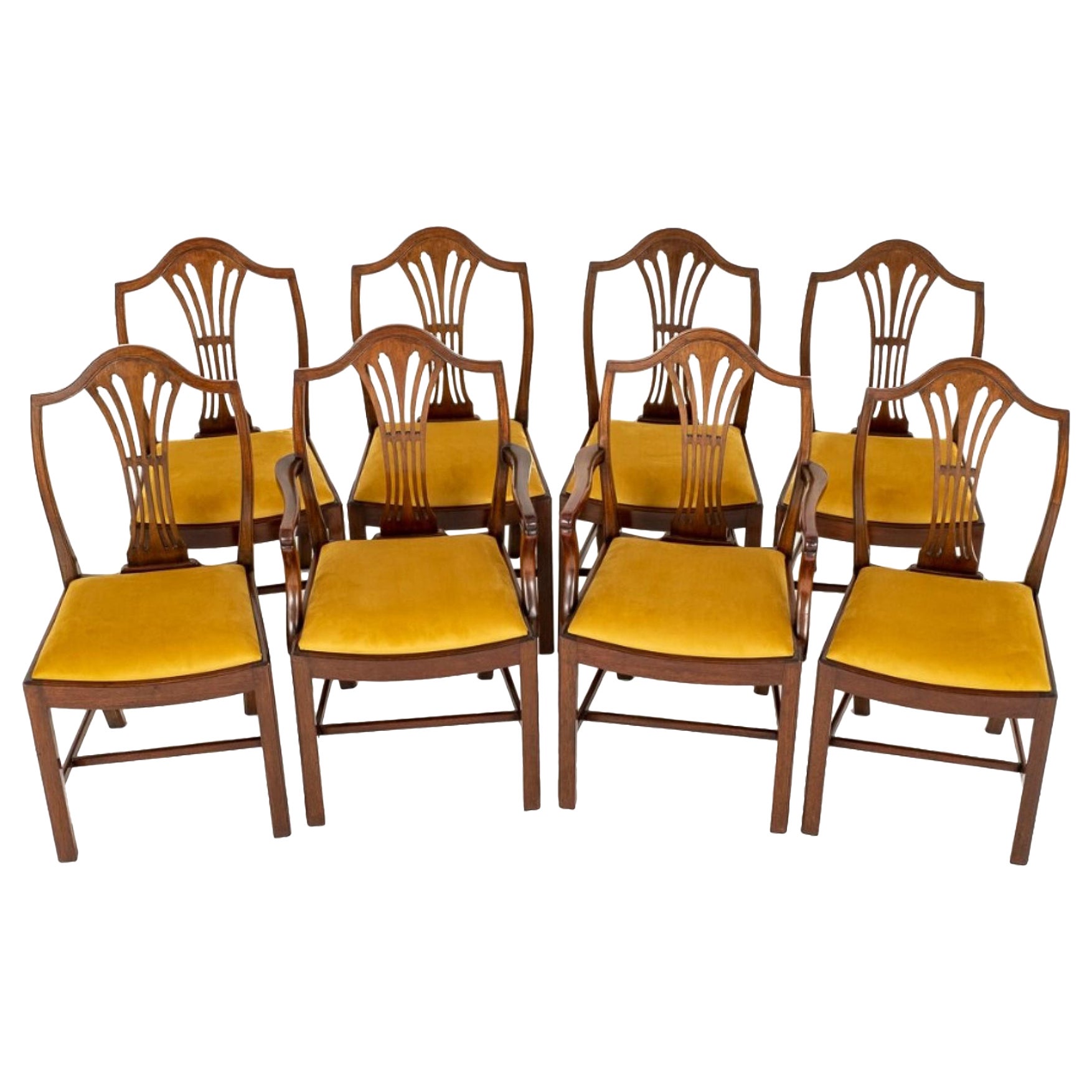 Set Hepplewhite Dining Chairs Mahogany For Sale