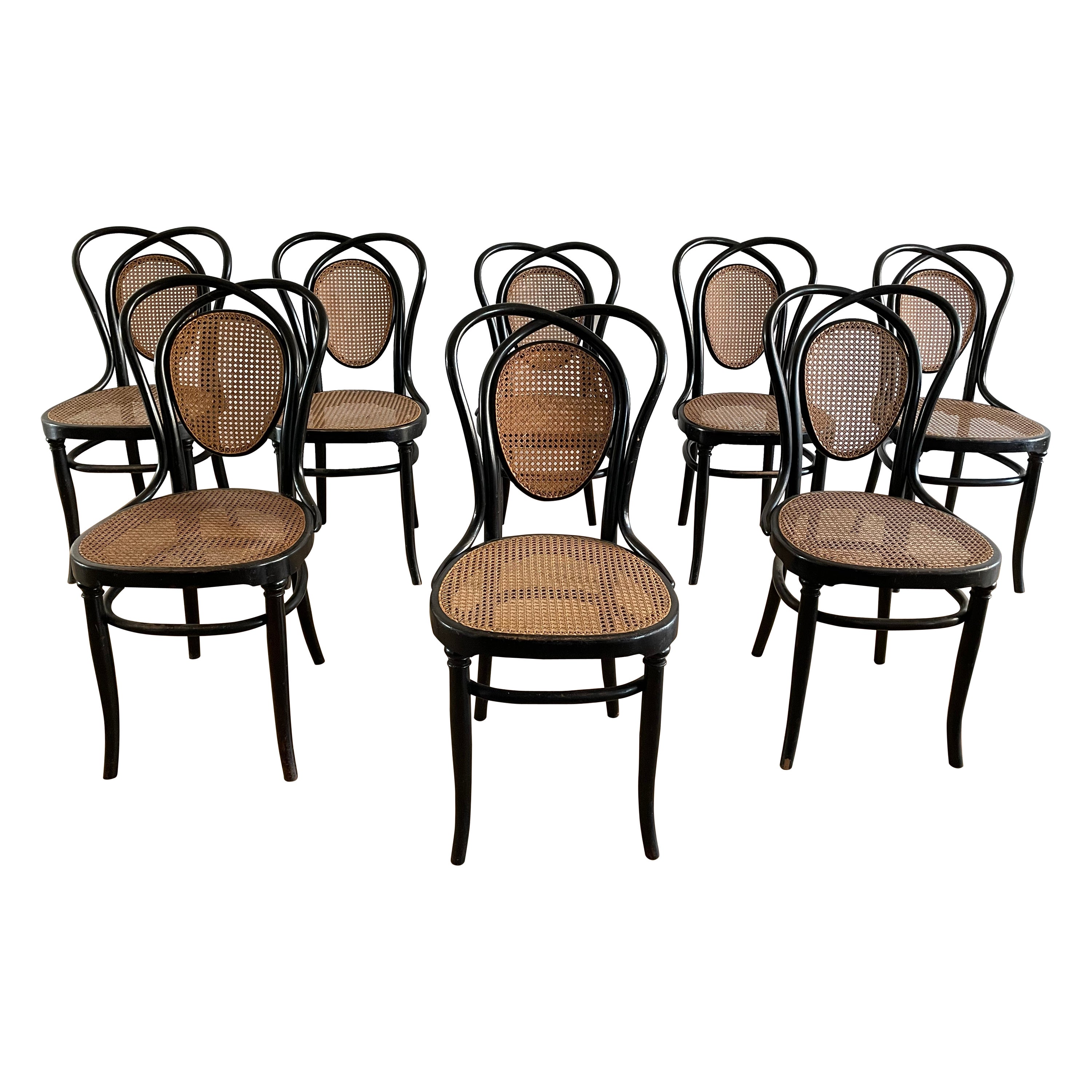 8 Viennese Chairs N.33 by J & J Kohn, 1900s For Sale