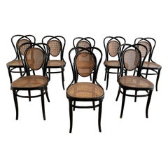 Antique 8 Viennese Chairs N.33 by J & J Kohn, 1900s