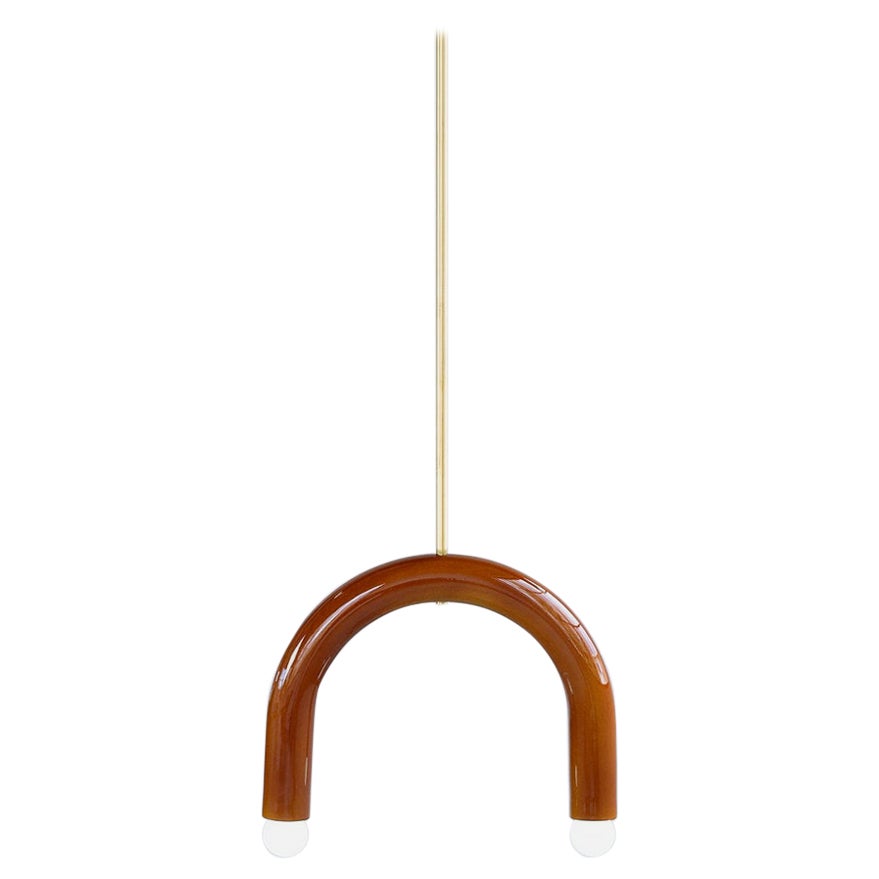 Ceramic Pendant Lamp 'TRN B1' by Pani Jurek, Brass Rod, Ochre