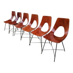 Augusto Bozzi Set of Six Ariston Chairs in Plywood and Metal by Saporiti, 1950s