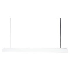 Small Misalliance Inox Suspended Light by Lexavala