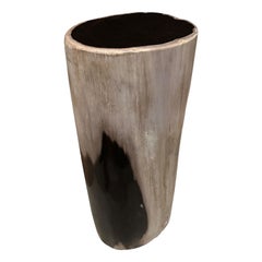 Andrianna Shamaris Super Smooth High Quality Petrified Wood Side Table