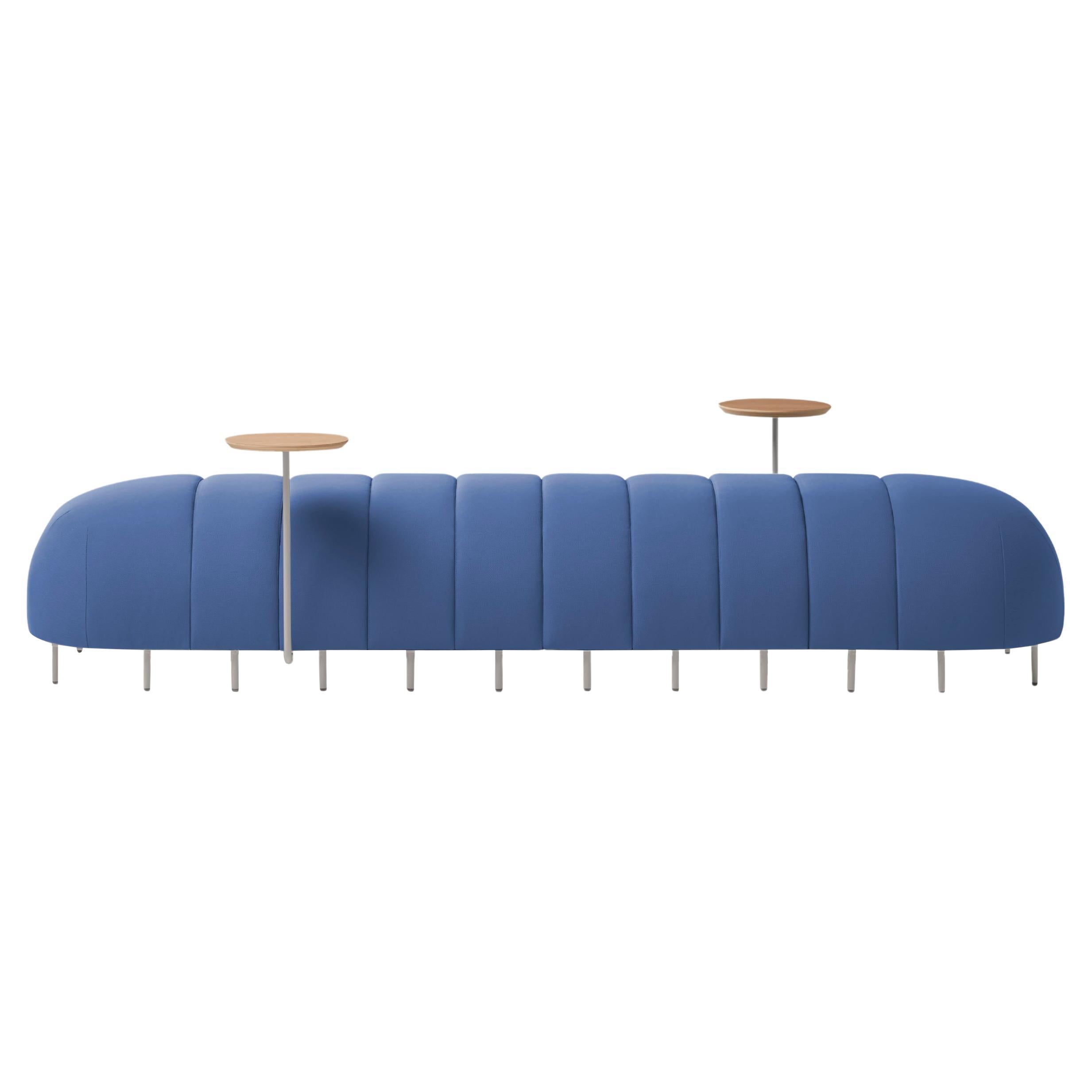 Blue Worm Bench VI by Pepe Albargues