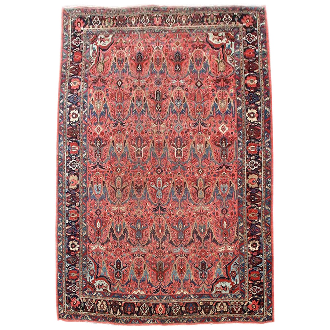 Ancien tapis persan Bidjar, début du 20e siècle
