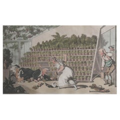 Grabado original antiguo de Thomas Rowlandson, en Tulip Hall, 1821