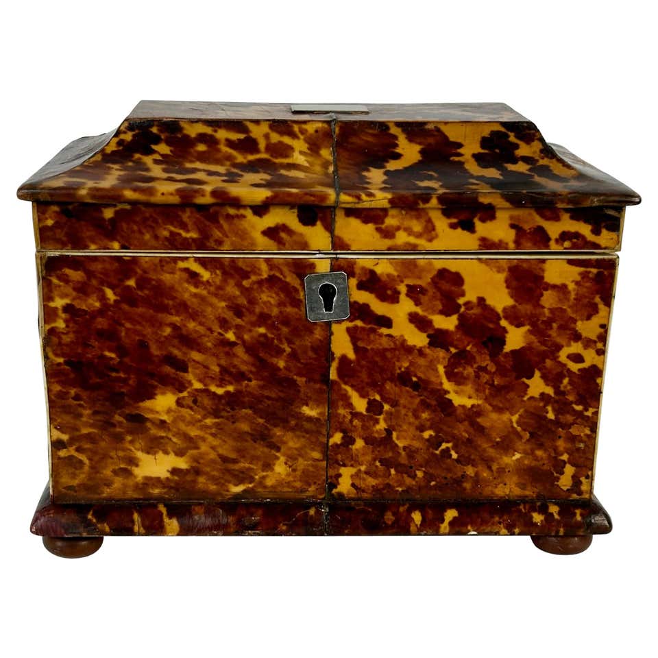 Early 19th Century Faux Tortoise Shell Inlaid Box For Sale at 1stDibs ...