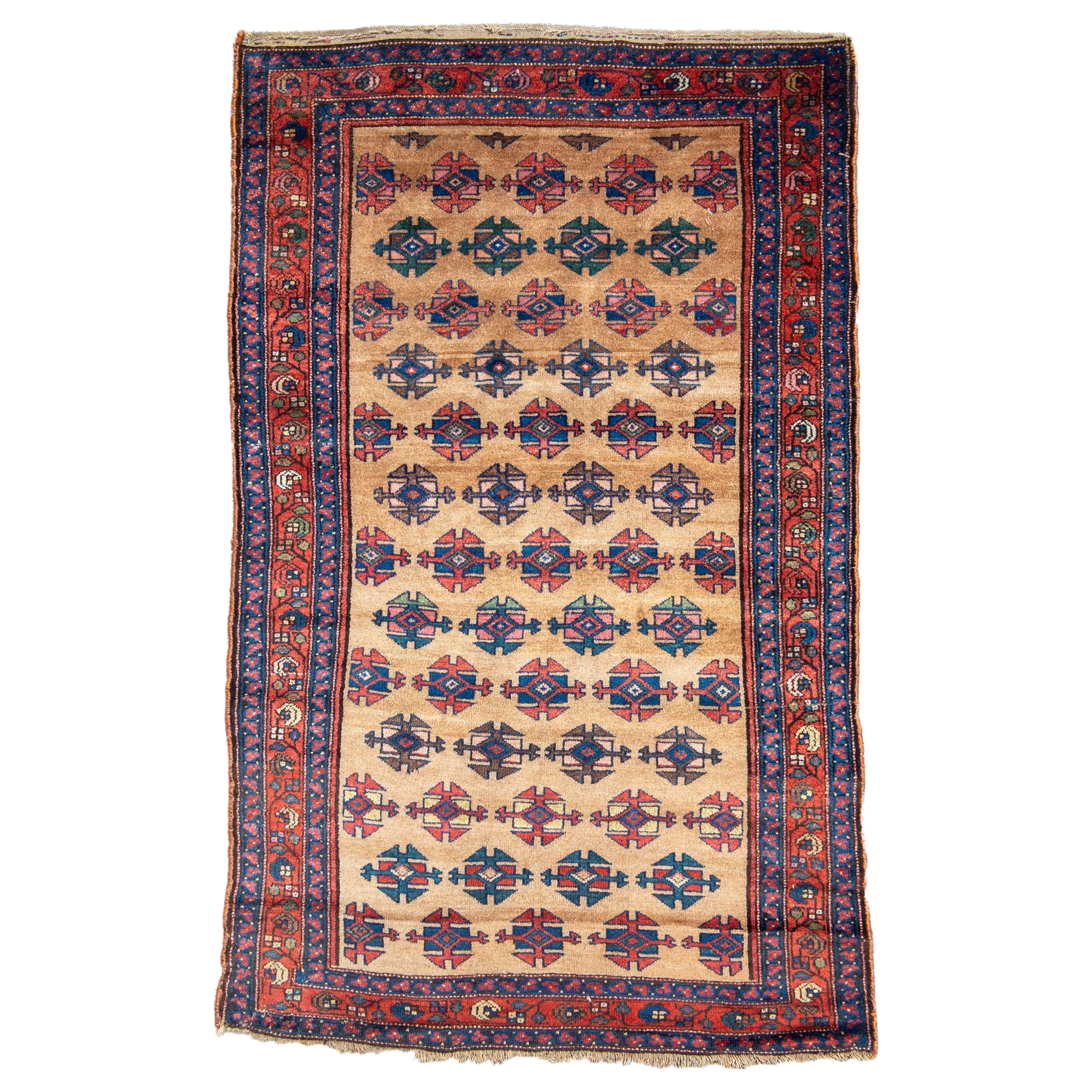 Antique Kurdish Long Rug, 19th Century