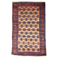 Antique Kurdish Long Rug, 19th Century