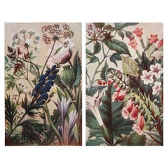 Pair of Original Vintage Botanical Prints, circa 1900