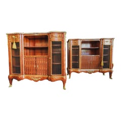 Antique Very Fine Pair of 19th Century French Bookcase Cabinets by Paul Sormani