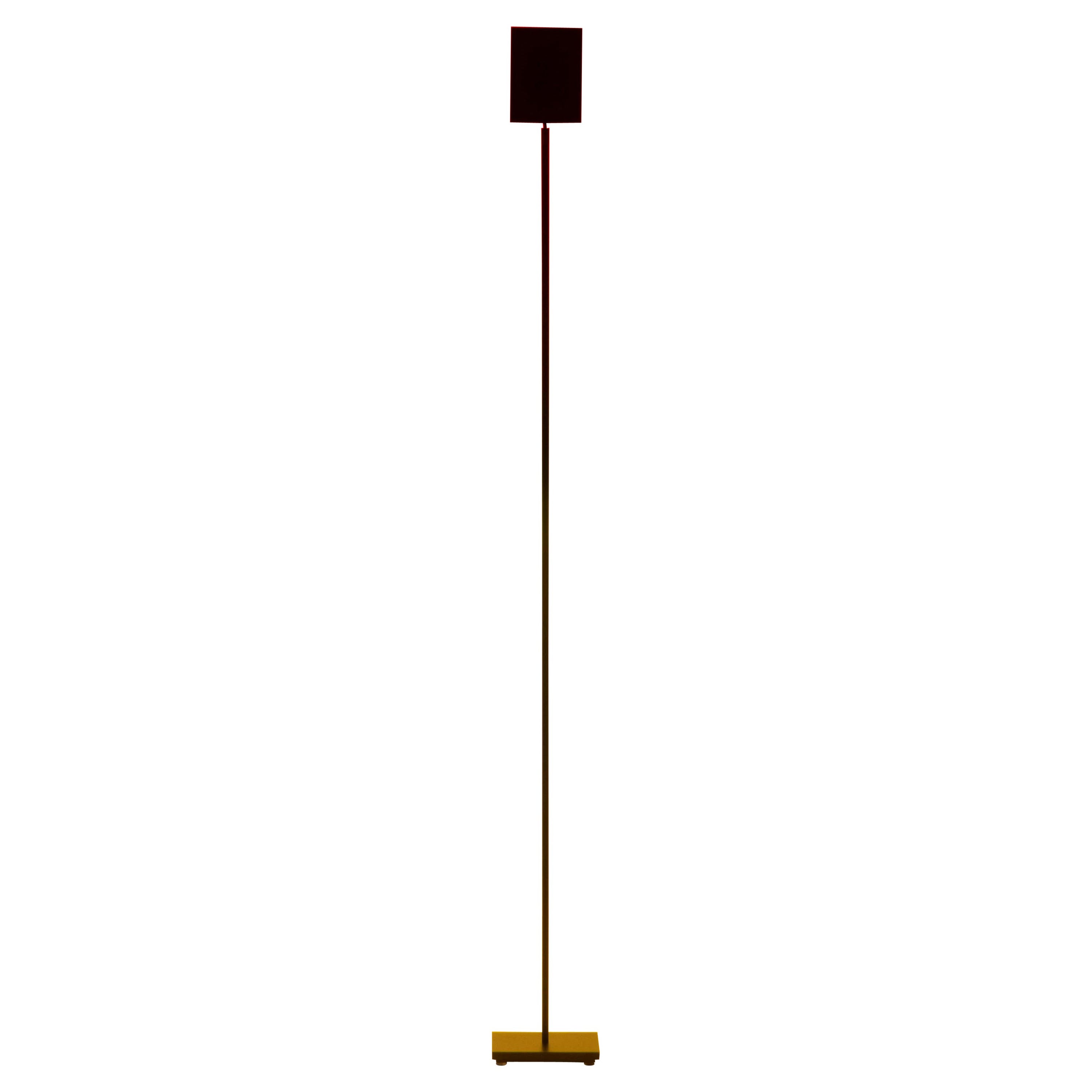 Small Halo Line Floor Lamp by Mandalaki For Sale