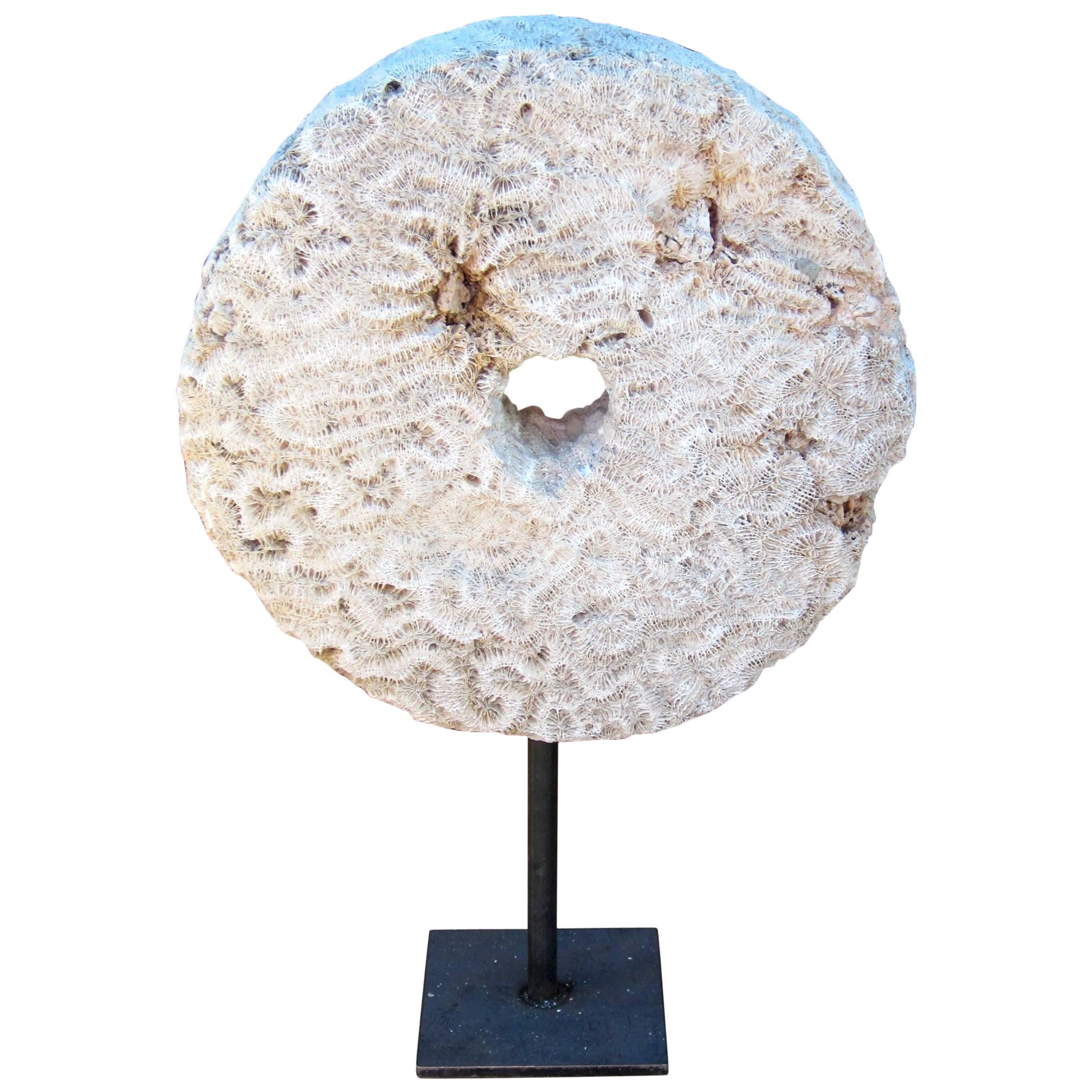 Prehistoric Carved Land Coral Ring on Stand Sculpture, Indonesia