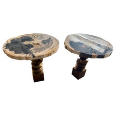 Pair of Petrified Wood Side Tables with Sculptural Base