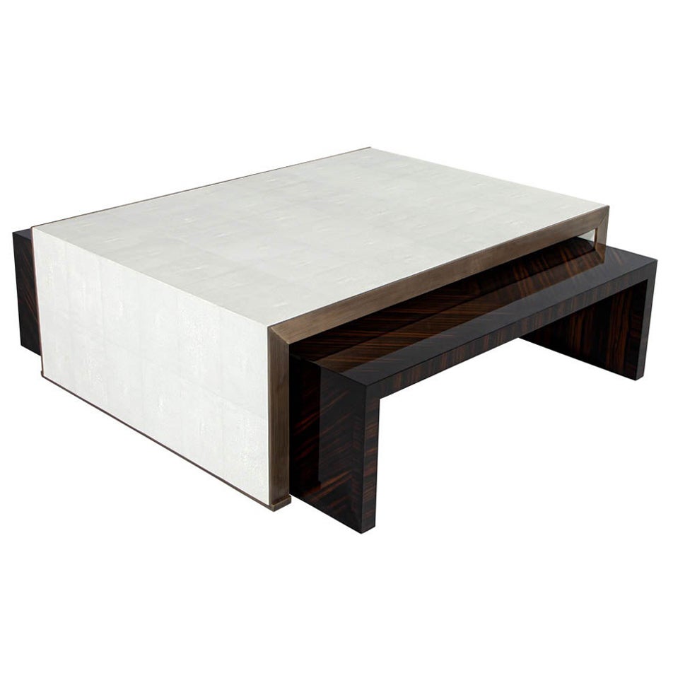 Modern Faux Shagreen Coffee Table with Macassar Nesting Tables For Sale
