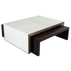 Modern Faux Shagreen Coffee Table with Macassar Nesting Tables