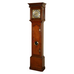 Used George III Oak Cased Thirty Hour Longcase Clock by Francis Whitton, Norwell