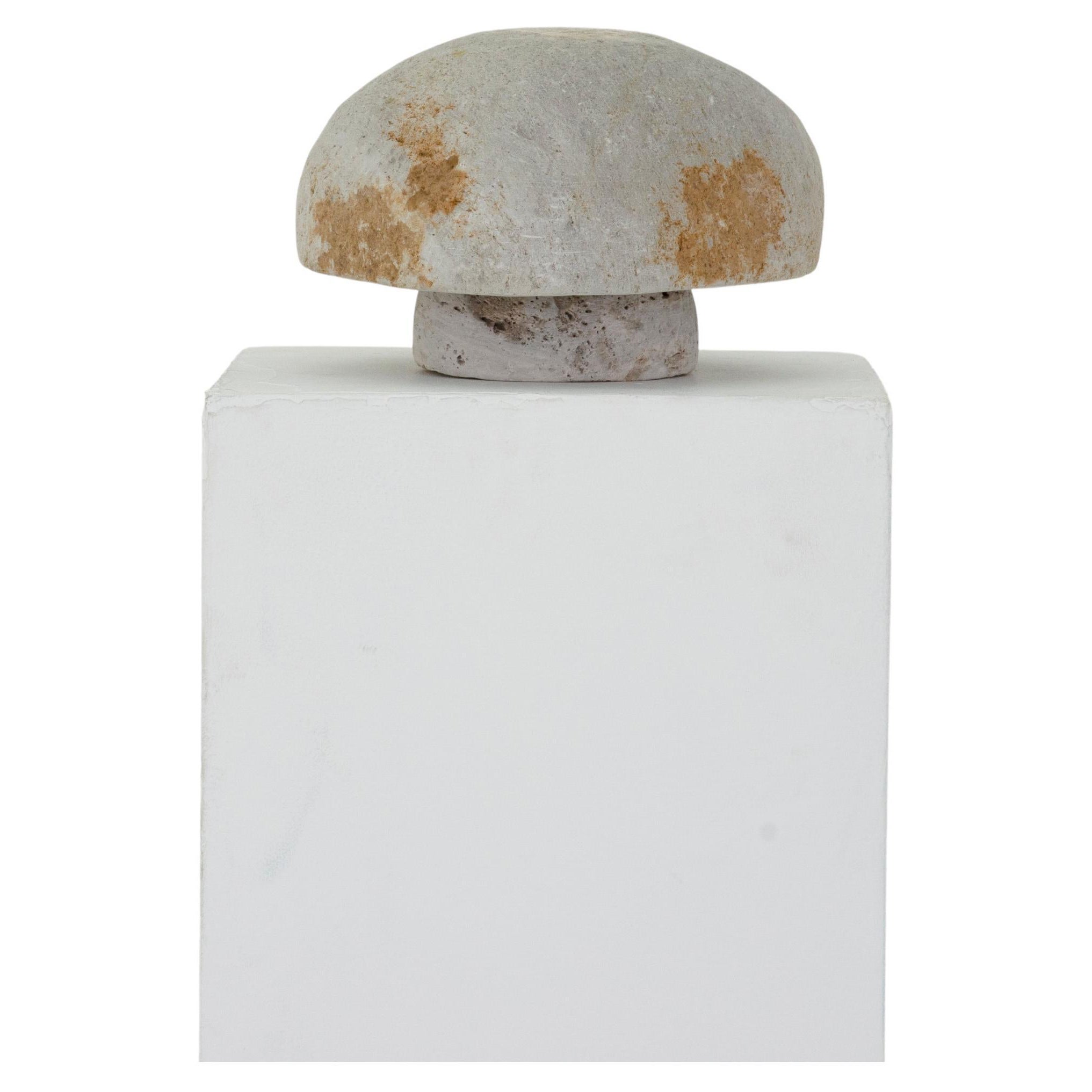 Fungi Lamp by Estudio Calido  For Sale