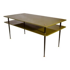 Retro Olive Green Glass Coffee Table by Eduardo Paoli for Vitrex, Italy 1950s