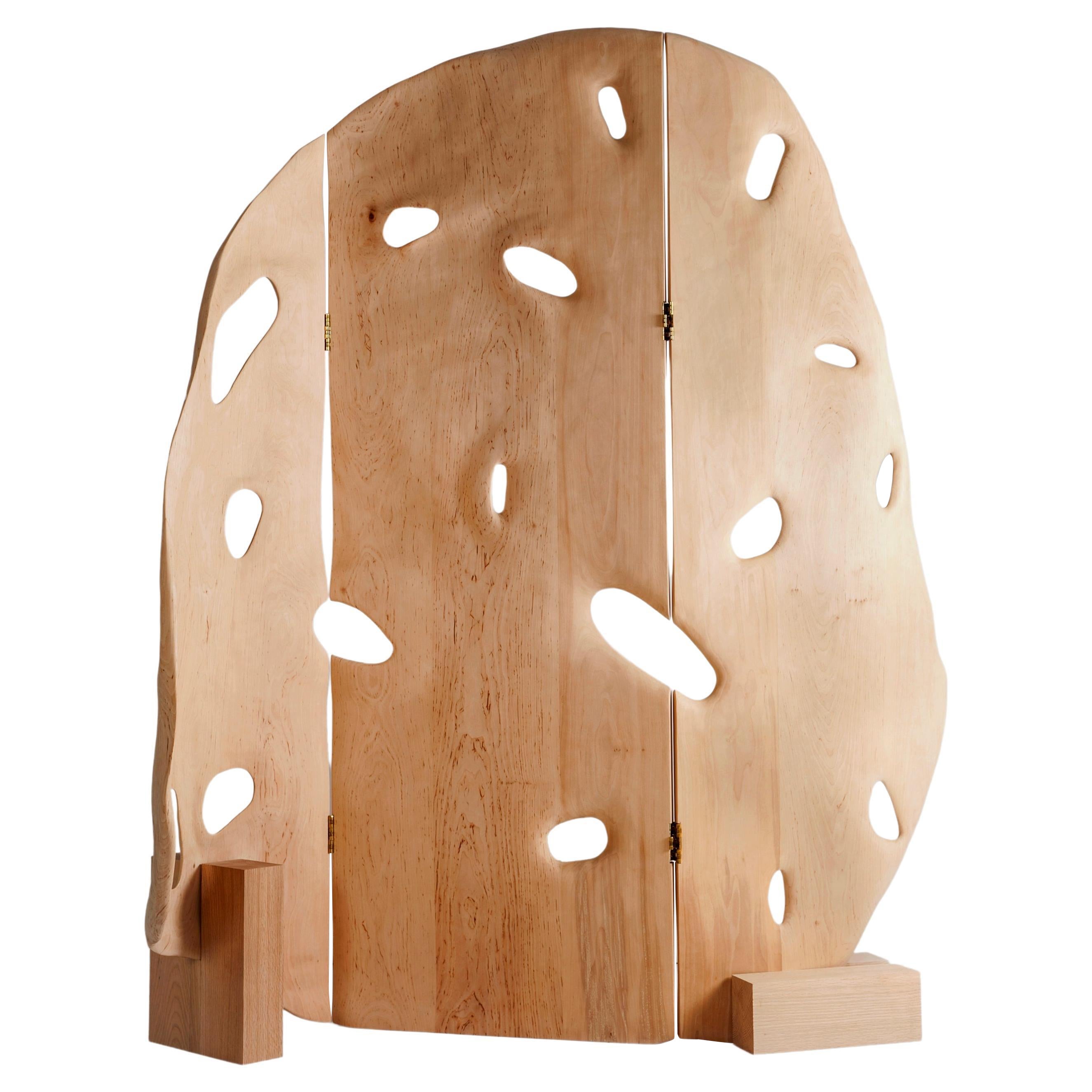 Divisorio Anna Bera Shape N1 di Nów
