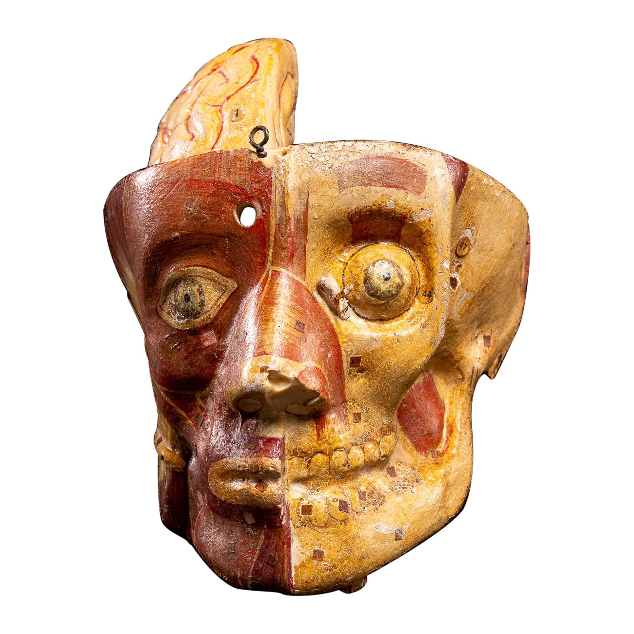 Coupe anatomique d'un crâne humain en papier mâché,  Objets de collection didactiques, Dr.Auzoux en vente