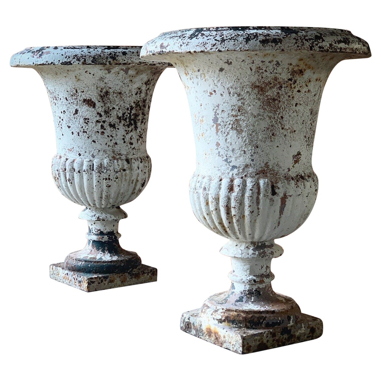 Pair of 19th Century French Medici Urns For Sale