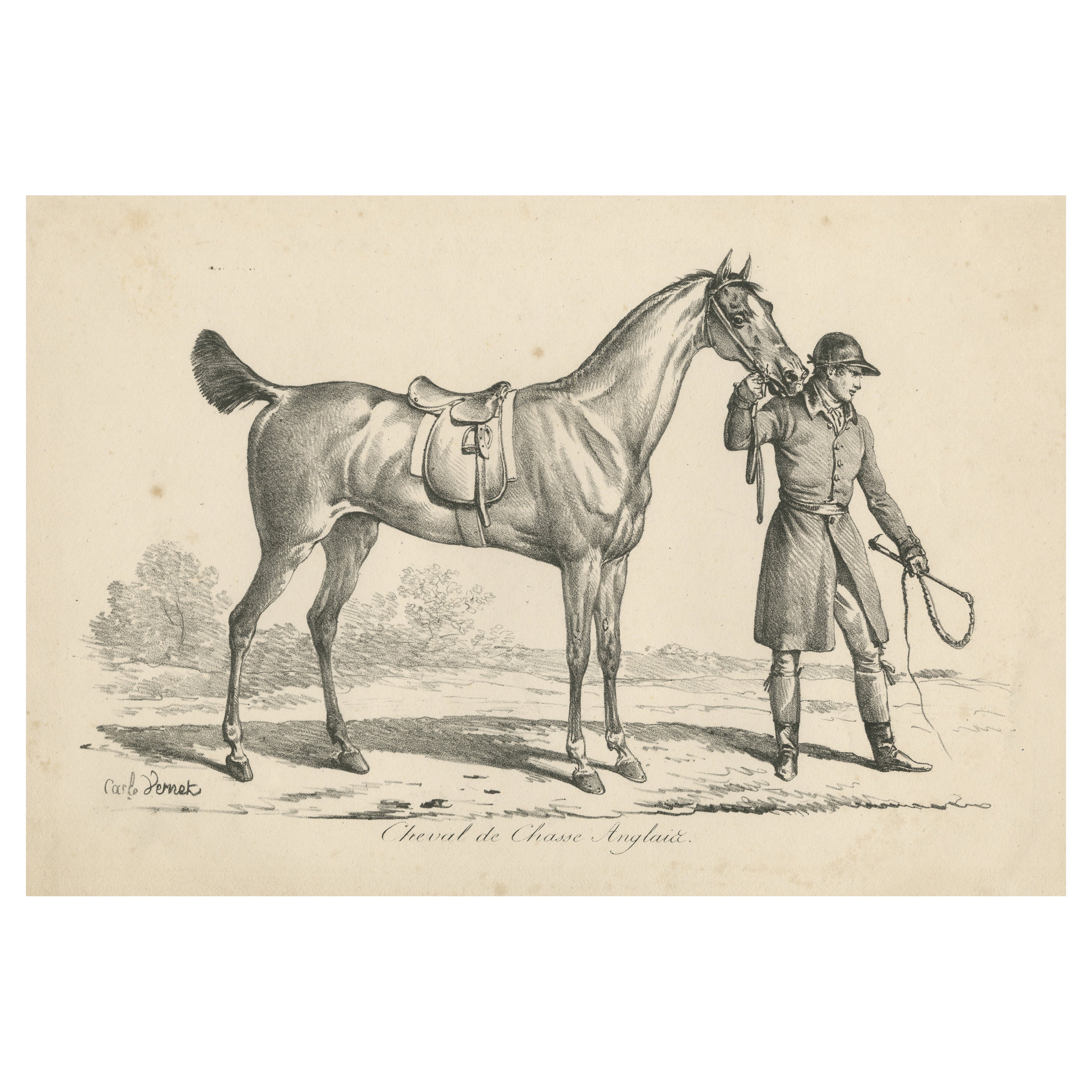 Antique Print of a Horse used for Hunting in England For Sale