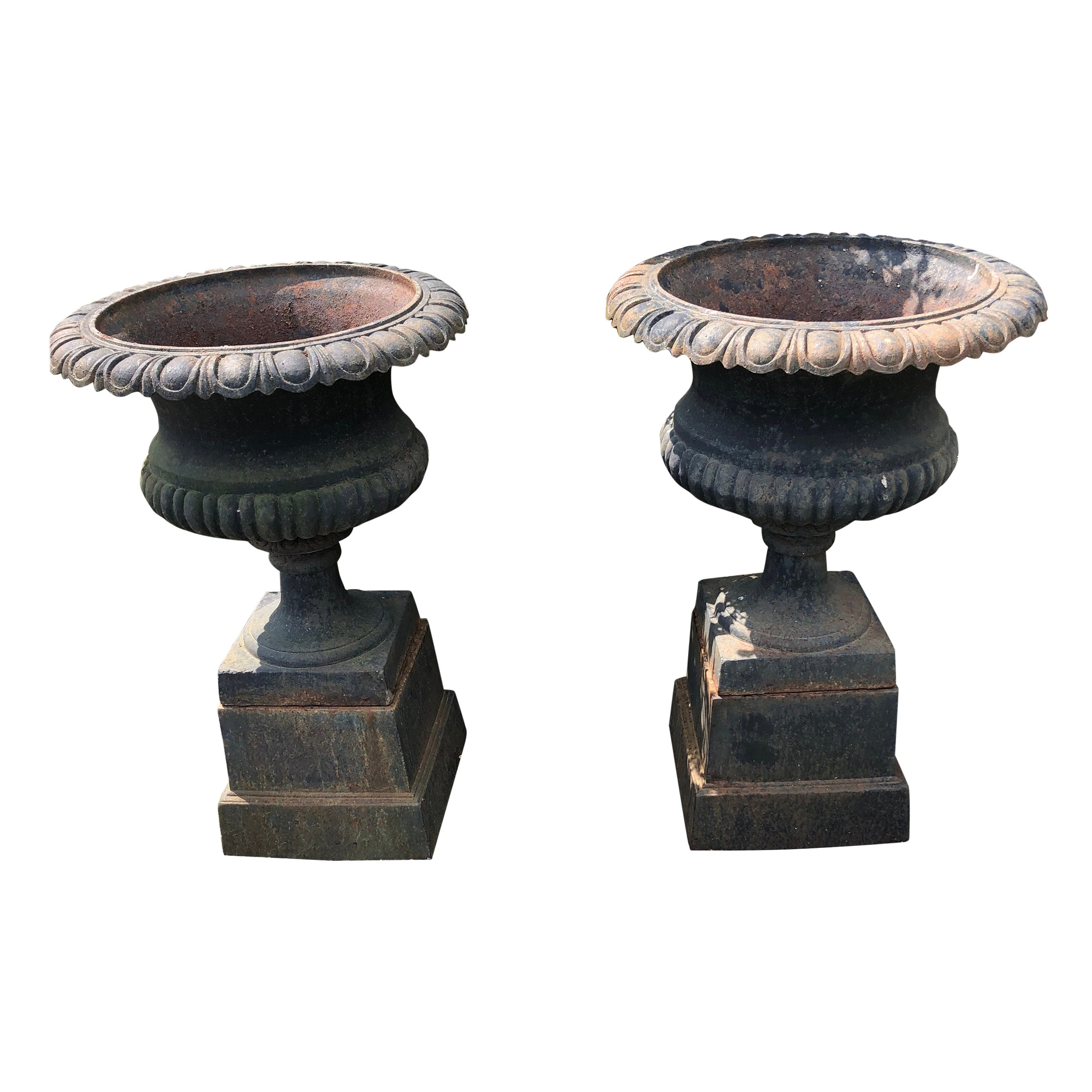 Monumental Vintage Pair of Black Cast Iron English Planters Urns on Plinths For Sale