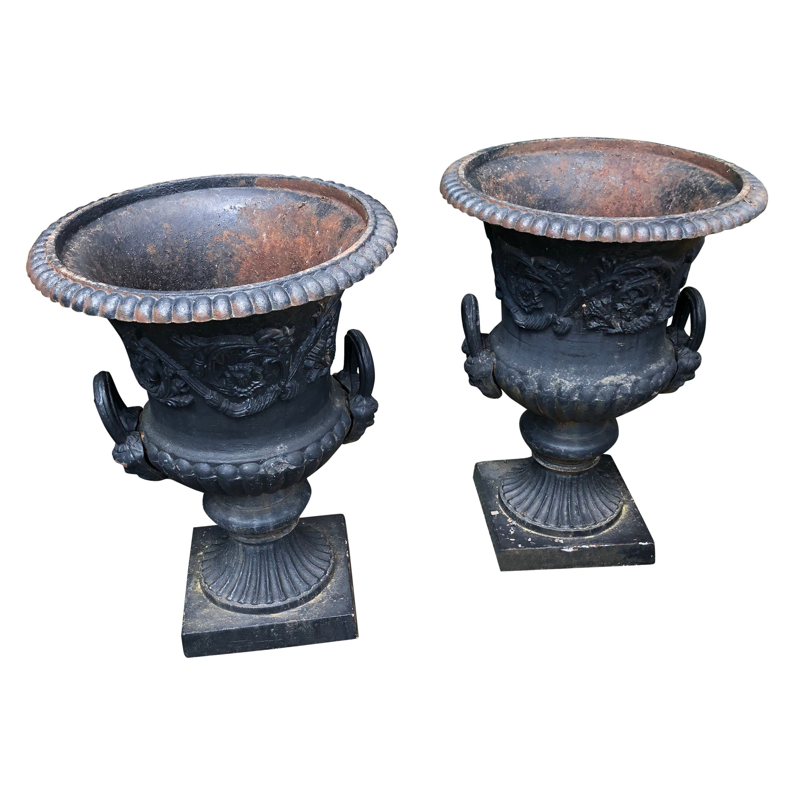 Large Capagna Form Pair of Black Cast Iron Planters Urns For Sale