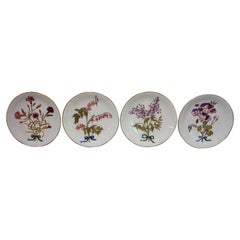 Antique Set of 4 Mintons Hand Painted Botanical Cabinet Plates