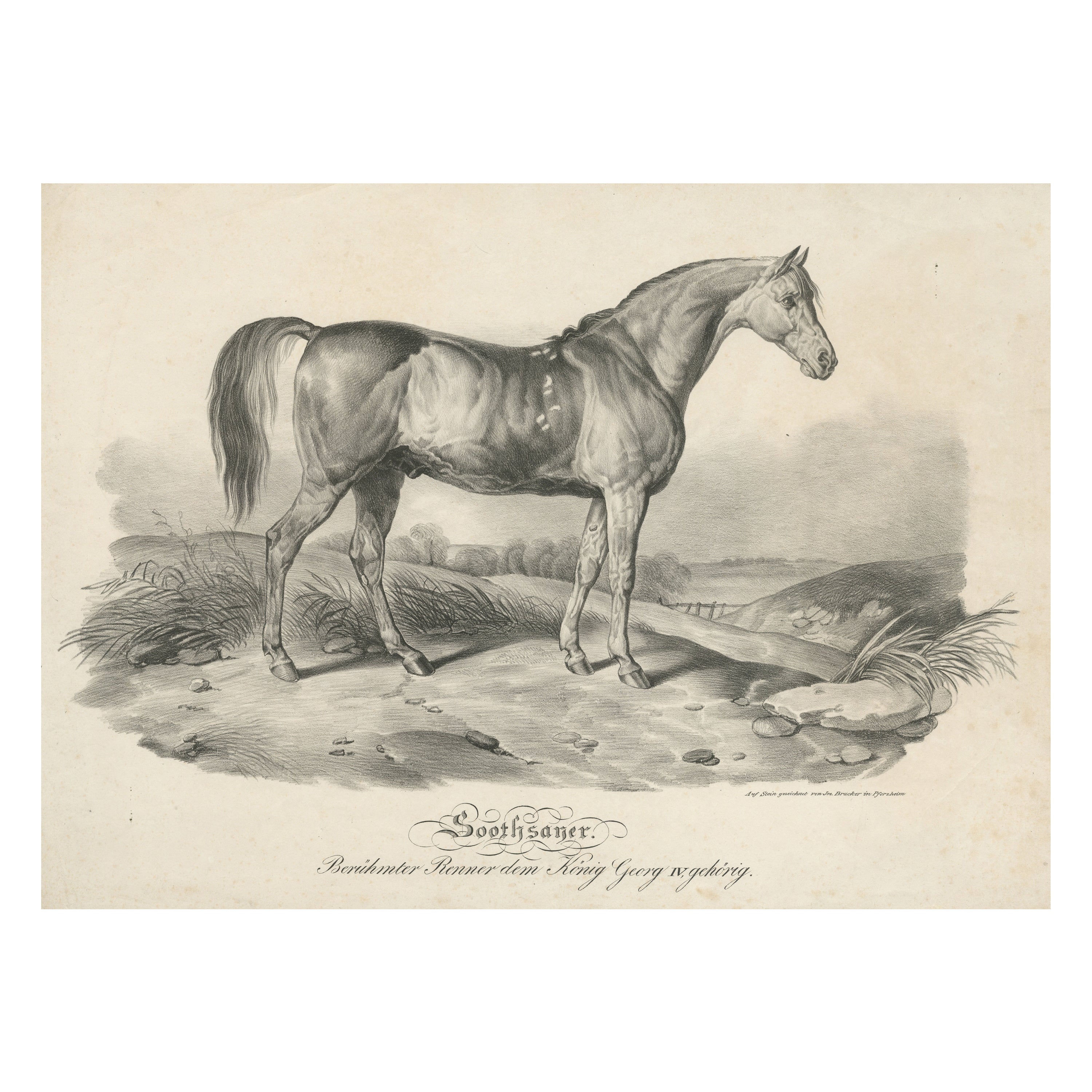Antique Print of Race Horse 'Soothsayer', Belonging to King George IV For Sale