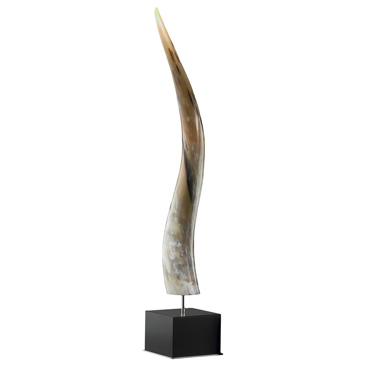 Leuca Horn Sculpture For Sale