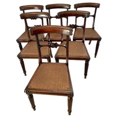  Quality Set of 6 William IV Rosewood Dining Chairs